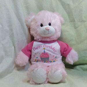 Build a Bear 16” Teddy Pink Happy Birthday Shirt Cupcake So Soft!